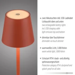 JUST LIGHT AKKU Tischleuchten-Set BURIA, 2er, orange
