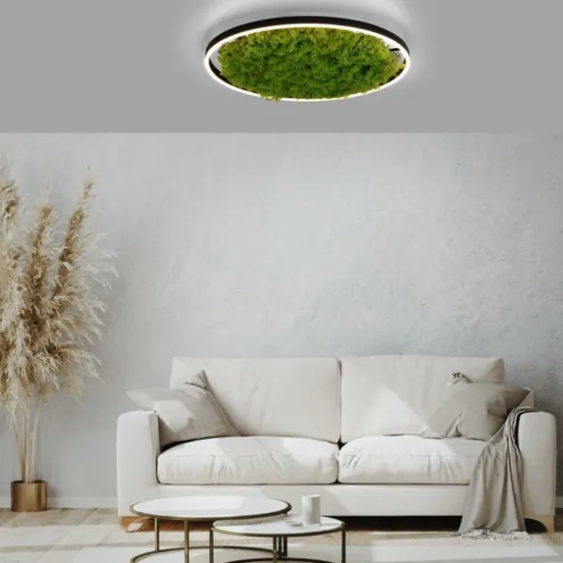 JUST LIGHT LED Deckenleuchte GERDA RITUS 60x60 Island Moos Switchmo dimmbar