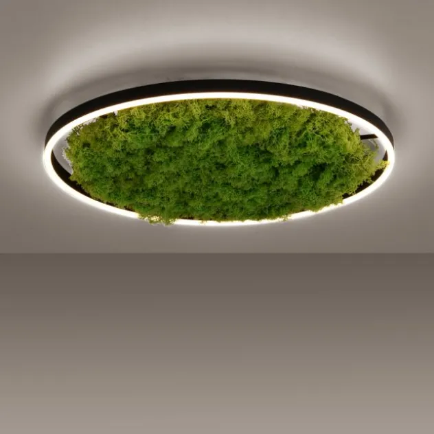 JUST LIGHT LED Deckenleuchte GERDA RITUS 60x60 Island Moos Switchmo dimmbar