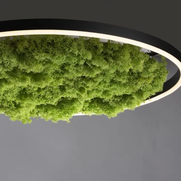 JUST LIGHT LED Deckenleuchte GERDA RITUS 60x60 Island Moos Switchmo dimmbar