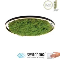 JUST LIGHT LED Deckenleuchte GERDA RITUS 60x60 Island Moos Switchmo dimmbar