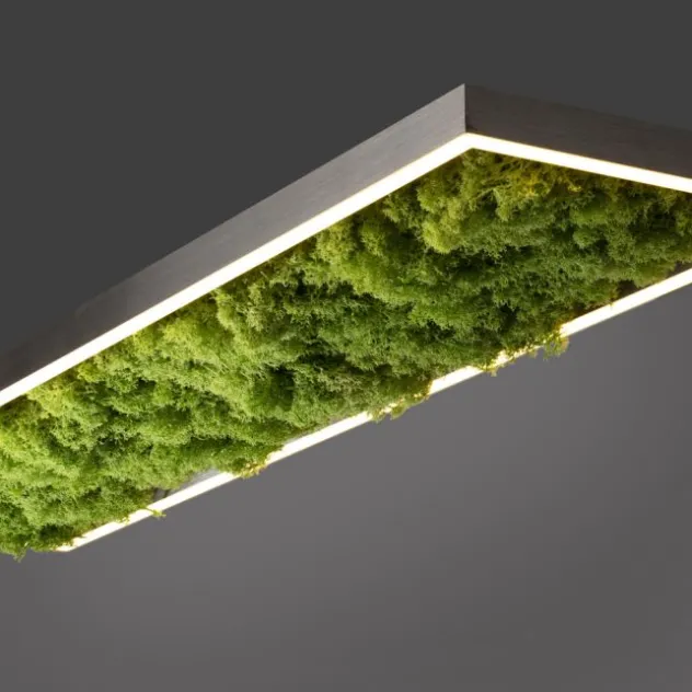 JUST LIGHT LED Deckenleuchte GERDA KNUT rechteckig Islandmoos Simplydim