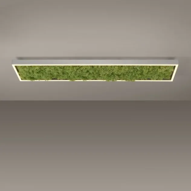 JUST LIGHT LED Deckenleuchte GERDA KNUT rechteckig Islandmoos Simplydim
