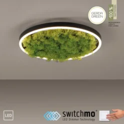 JUST LIGHT LED Deckenleuchte GERDA RITUS 40x40 Island Moos Switchmo 3 Stufen Dimmung