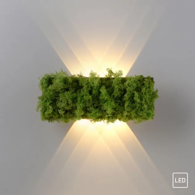 JUST LIGHT LED Wandleuchte GERDA CARLO Islandmoos Lichtspiel warmweiß Licht