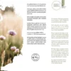 JUST LIGHT LED Wandleuchte GERDA MICHEL Holz natur 4-flammig quadratidsch