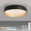 LED Deckenleuchte D=57 schwarz gold dimmbar per Fernbedienung CCT