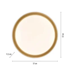LED Deckenleuchte D=57 schwarz gold dimmbar per Fernbedienung CCT