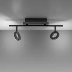 LED Deckenleuchte 2 flammig anthrazitfarbig drehbar IP44 warmweiß