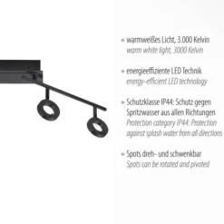LED Deckenleuchte 4 flammige anthrazitfarbig drehbar IP44 warmweiß