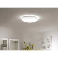 LED Deckenleuchte, Smart Home fähig, RGB+W, Fernbedienung, Sternenhimmeloptik