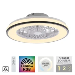 LED Deckenventilator CCT RGB Farbwechsel Fernbedienung