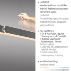 LED Pendelleuchte ADRIANA schwarz höhenverstellbar dimmbar CCT