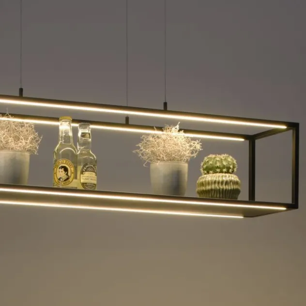 LED Pendelleuchte Conni, schwarz, 4-flammig, dimmer, Innenleuchte