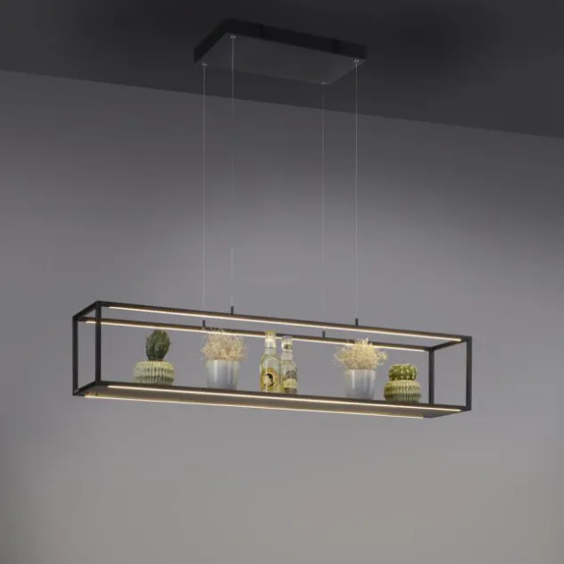 LED Pendelleuchte Conni, schwarz, 4-flammig, dimmer, Innenleuchte