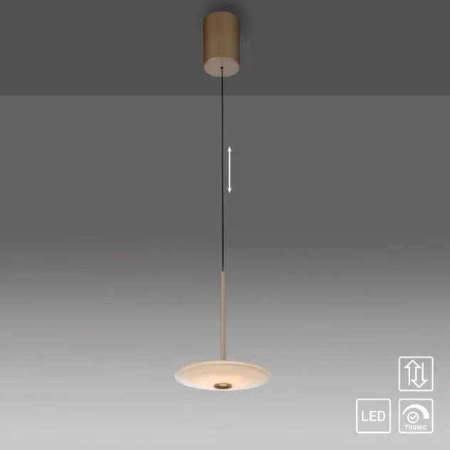 LED Pendelleuchte ELIPSA, bronce, Tronicdimmer Comfort-Lift