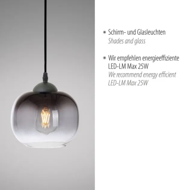 LED Pendelleuchte 1 flammig schwarz Rauchglas modern Wohnlampe