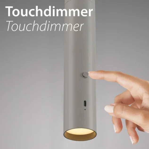 LED Pendelleuchte greige höhenverstellbar magnetischer Kopf Akku