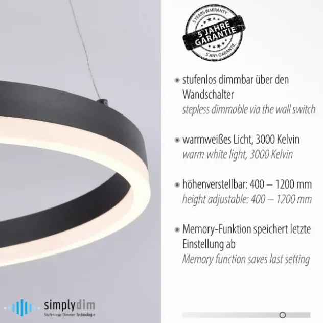 LED Pendelleuchte, rund, anthrazitfarben, Dimmfunktion, Memory Funktion