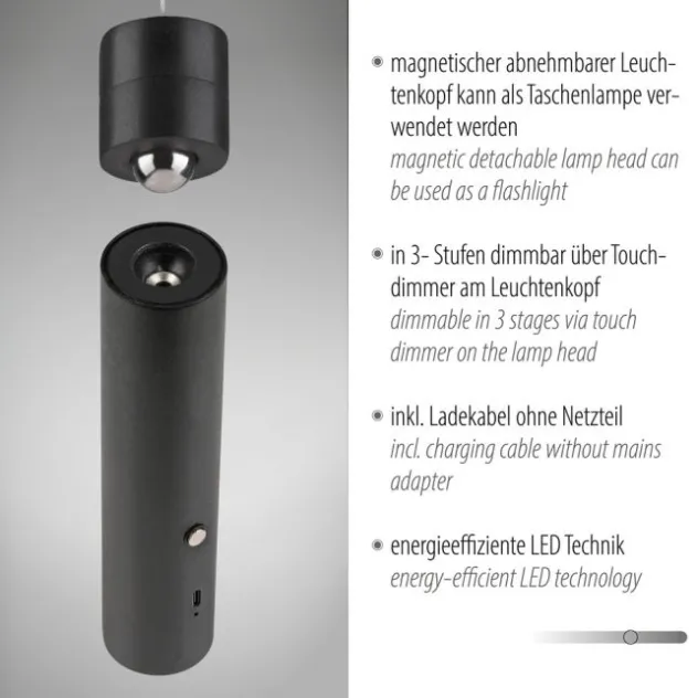 LED Pendelleuchte schwarz höhenverstellbar magnetischer Kopf Akku