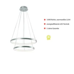 LED-Pendelleuchte, silber, 2 Leuchtringe, warmweiße Lichtfarbe, modern