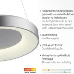 LED Pendelleuchte silber steuerbar über App dimmbar RGB+CCT