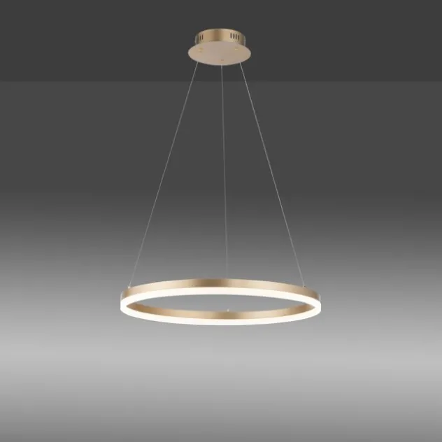 LED Pendelleuchte 60x60 messing farbig rund dimmbar Memoryfunktion modern