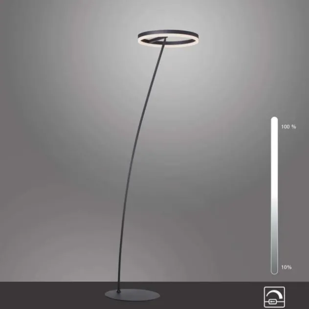 LED Stehlampe anthrazit farbig schwenkbar dimmbar Lichtring warmweiß Licht