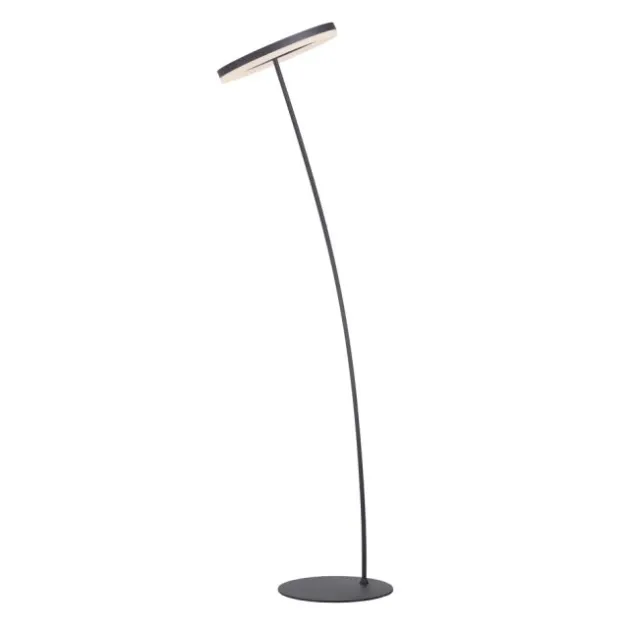 LED Stehlampe anthrazit farbig schwenkbar dimmbar Lichtring warmweiß Licht