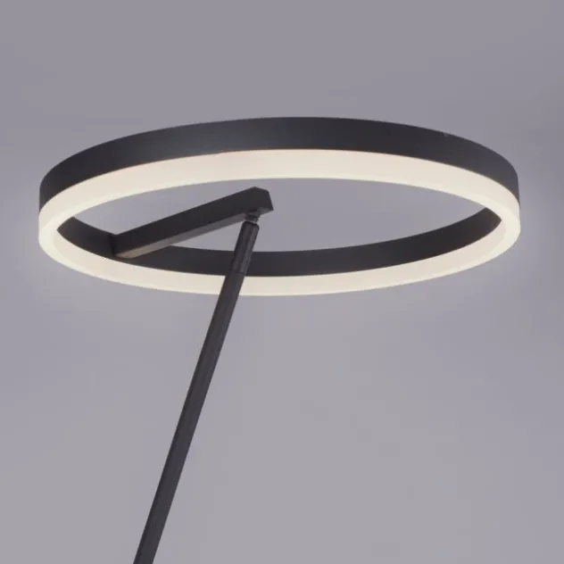 LED Stehlampe anthrazit farbig schwenkbar dimmbar Lichtring warmweiß Licht