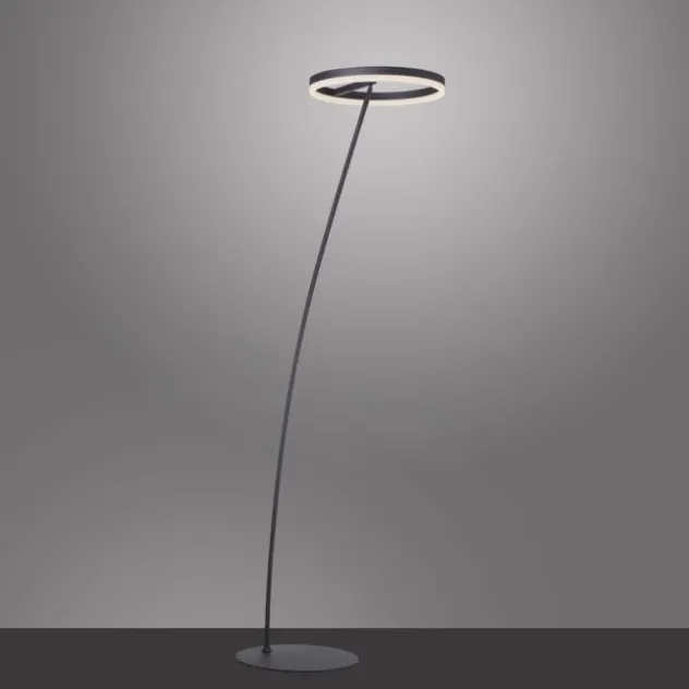 LED Stehlampe anthrazit farbig schwenkbar dimmbar Lichtring warmweiß Licht