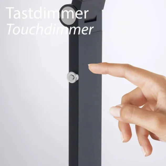 LED Stehleuchte SAMSKY, grau, CCT-Steuerung, Tastdimmer, höhenverstellbar