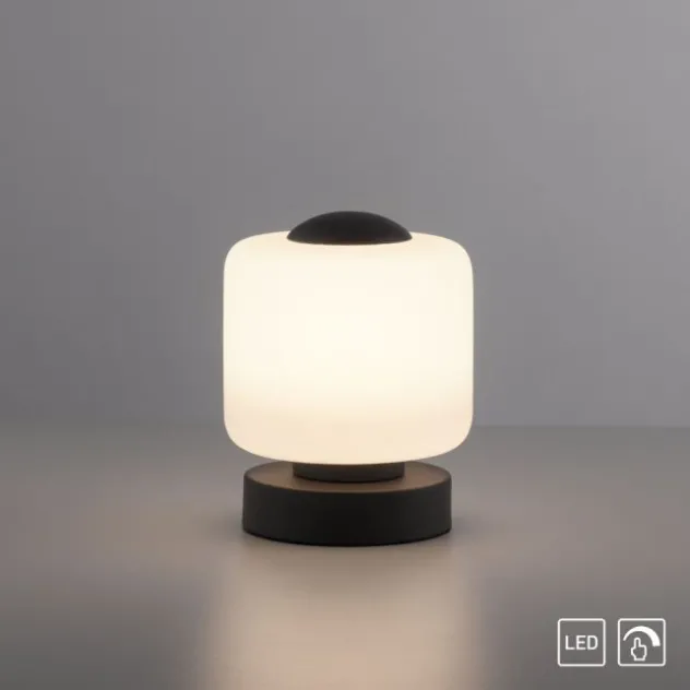 LED Tischleuchte anthrazit farbig rund Touchdimmer zeitloses Design