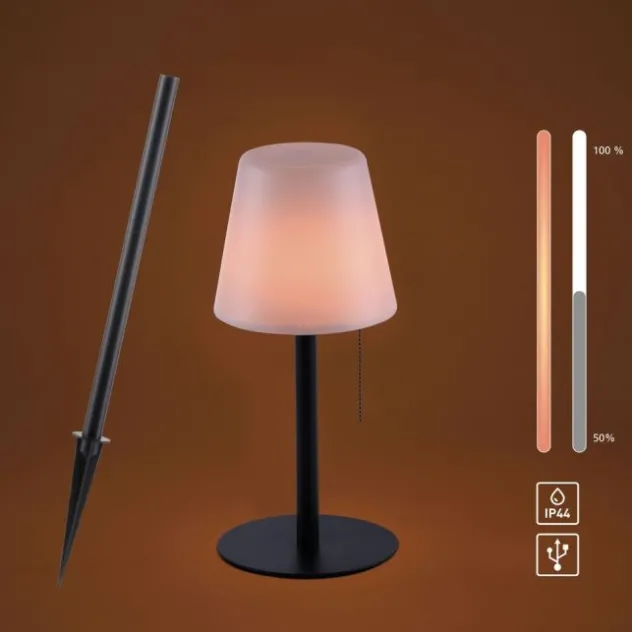 LED Tischleuchte, schwarz, dimmbar, modern, inkl. Zugschalter, kabellos