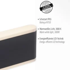 LED Wandleuchte, Außenwandleuchte, IP65, ELSA, anthrazit