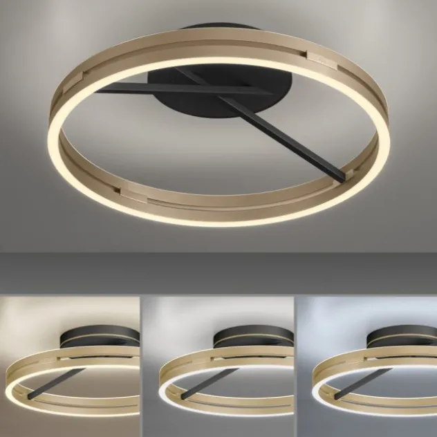 Neuhaus PURE® LED Deckenleuchte PURE Loop, black-pearl/ivory-gold, Fernbedienung