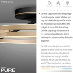 Neuhaus PURE® LED Deckenleuchte PURE Loop, black-pearl/ivory-gold, Fernbedienung