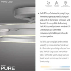 Neuhaus PURE® LED Deckenleuchte PURE Loop, stone (alu), Fernbedienung