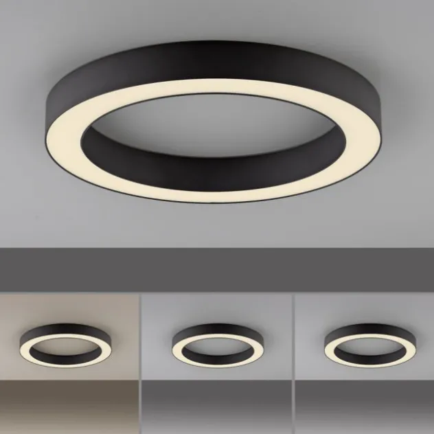 Neuhaus PURE® LED Deckenleuchte PURE Lines Round, graphite, 35 cm, dimmbar