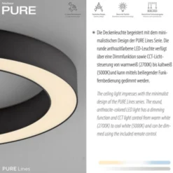 Neuhaus PURE® LED Deckenleuchte PURE Lines Round, graphite, 35 cm, dimmbar
