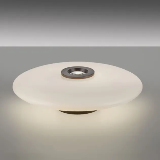 Neuhaus PURE® LED Deckenleuchte PURE Vitrum, dark-metal brown, dimmbar