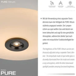 Neuhaus PURE® LED Deckenleuchte PURE Vitrum, dark-metal brown, dimmbar