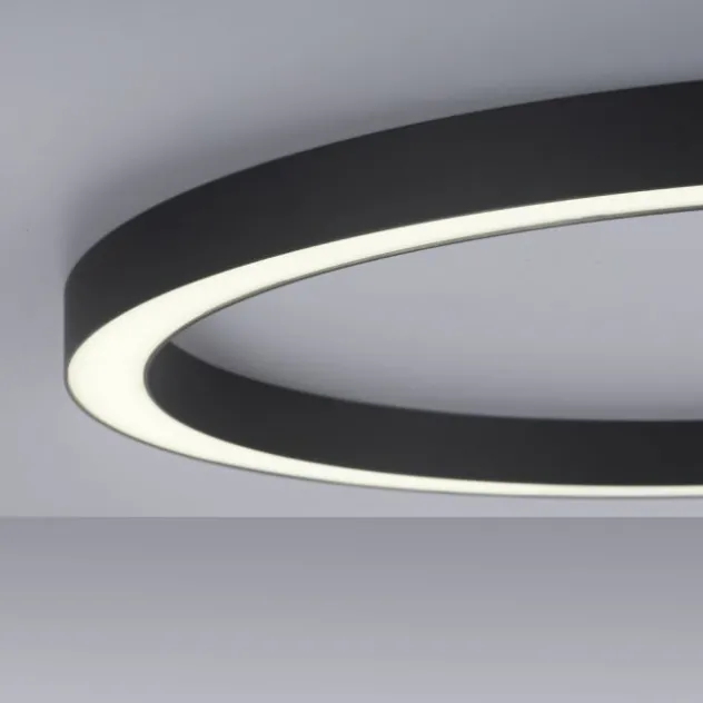 Neuhaus PURE® LED Deckenleuchte PURE Lines Round, graphite, 70cm, CCT, Fernbedienung