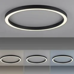 Neuhaus PURE® LED Deckenleuchte PURE Lines Round, graphite, 70cm, CCT, Fernbedienung