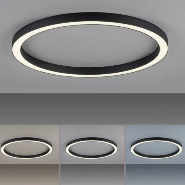 Neuhaus PURE® LED Deckenleuchte PURE Lines Round, graphite, 70cm, CCT, Fernbedienung