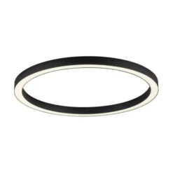 Neuhaus PURE® LED Deckenleuchte PURE Lines Round, graphite, 70cm, CCT, Fernbedienung