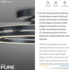 Neuhaus PURE® LED Deckenleuchte PURE Loop, mystic grey, Fernbedienung