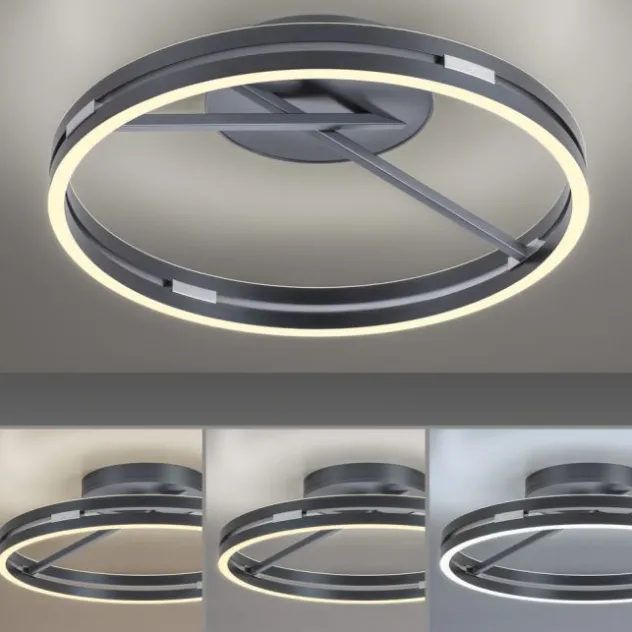 Neuhaus PURE® LED Deckenleuchte PURE Loop, mystic grey, Fernbedienung