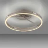 Neuhaus PURE® LED Deckenleuchte PURE Loop, bronce, dimmbar, Fernbedienung
