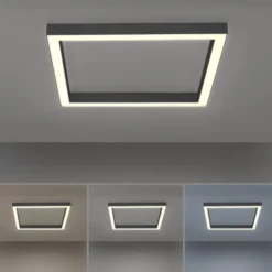 Neuhaus PURE® LED Deckenleuchte PURE Lines Square graphite 55x55cm CCT dimmbar